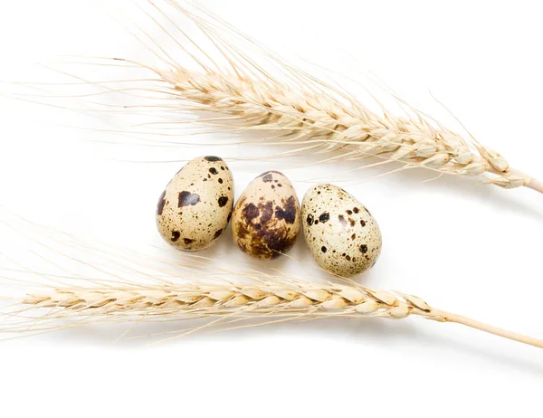 Tarwe Met Kwarteleitjes Een Witte Achtergrond — Stockfoto