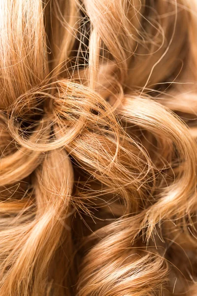 아름다운 여성의 머리카락의 스튜디오 — 스톡 사진