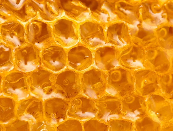 Verse Honing Kam Macro Foto Van Een Abstracte Textuur — Stockfoto