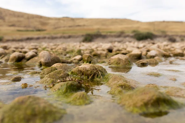 Doğada nehirdeki taşlar. Doğadaki parkta.