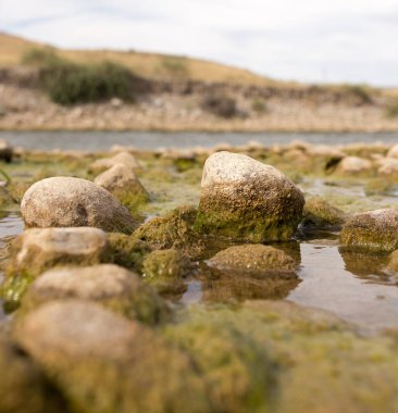 Doğada nehirdeki taşlar. Doğadaki parkta.