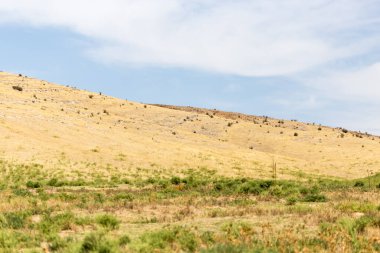 Dağlarda doğa. Doğadaki parkta.