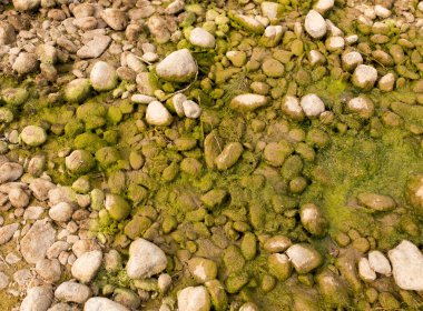 Doğada nehirdeki taşlar. Doğadaki parkta.