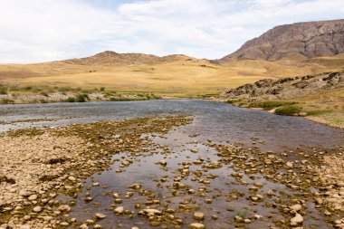 Kazakistan 'daki Boralday Nehri. Doğadaki parkta.
