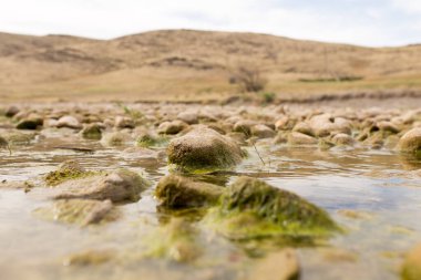 Doğada nehirdeki taşlar. Doğadaki parkta.
