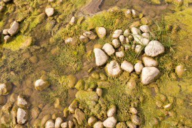 Doğada nehirdeki taşlar. Doğadaki parkta.
