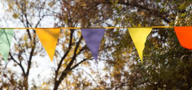 Sonbaharda renkli bayraklar. Doğadaki parkta.