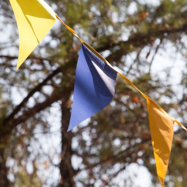 Sonbaharda renkli bayraklar. Doğadaki parkta.