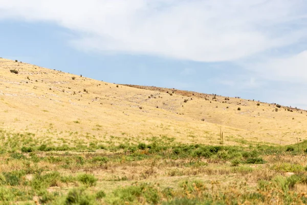 Dağlarda doğa. Doğadaki parkta.