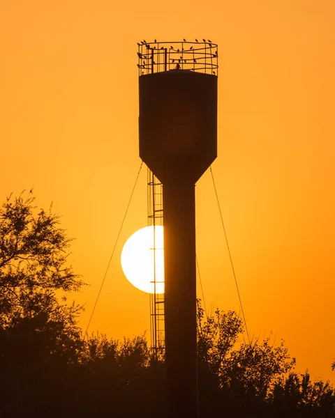 日落时的一个大水箱 在大自然的公园里 — 图库照片