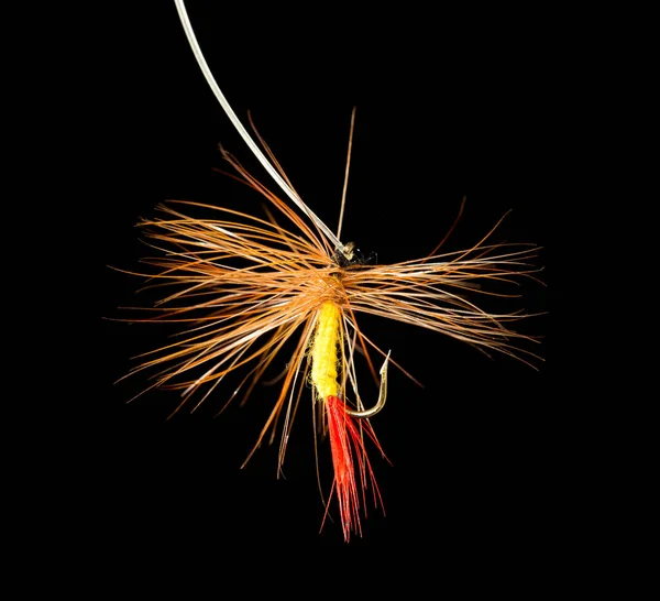 Fly Catch Fish Black Background — Stock Photo, Image