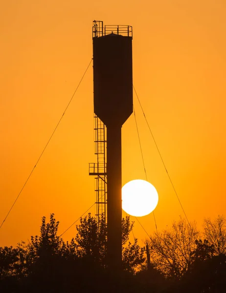 Una Grande Vasca Tramonto Nel Parco Nella Natura — Foto Stock