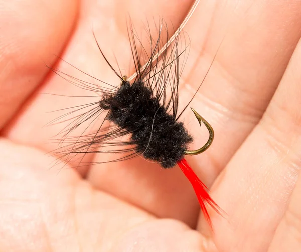 Fliegen Fische Seiner Hand Fangen Makro — Stockfoto