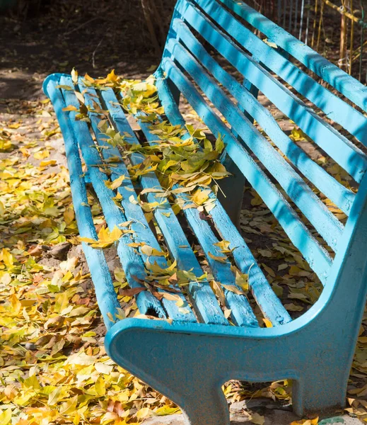 Blue Bench Park Autumn — Stock Photo, Image