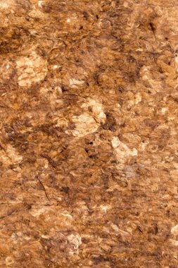 Deve yününden yapılmış malzeme. Soyut bir dokunun fotoğrafı