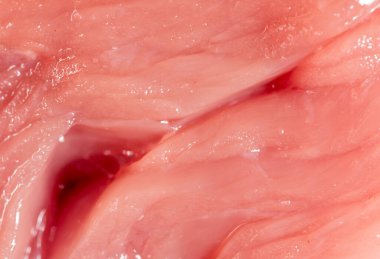 Arka plan olarak taze et. Makro. Soyut bir dokunun fotoğrafı