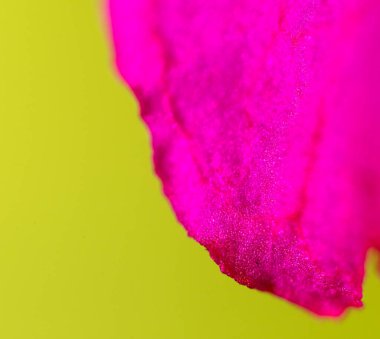 Doğadaki kırmızı çiçek. Makro. Doğadaki parkta.