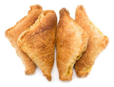 Beyaz arka planda Patty. Fotoğraflar stüdyoda.