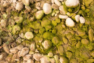 Doğada nehirdeki taşlar. Doğadaki parkta.