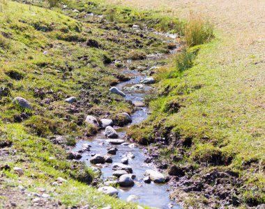 Doğada küçük bir nehir. Doğadaki parkta.