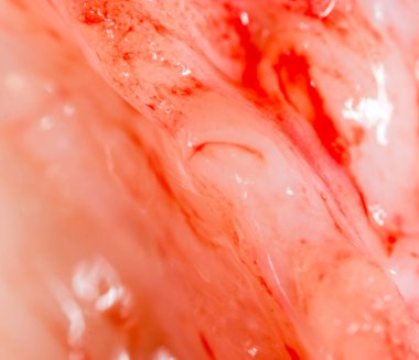 Arka plan kadar yağlı taze et. makro .