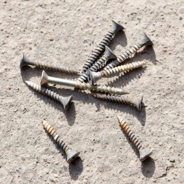 Yere vida. Makro. Doğadaki parkta.