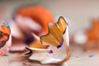 Bir kalemin enkazı. Makro. Fotoğraflar stüdyoda.