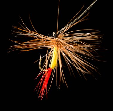 Siyah arka planda balık yakalamak için uç .