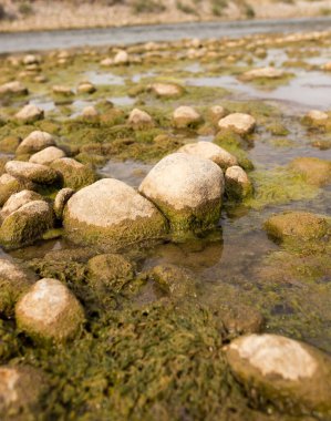 Doğada nehirdeki taşlar. Doğadaki parkta.