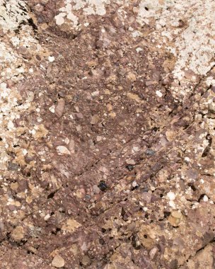 Arkaplan olarak kaya taşı. Doğadaki parkta.