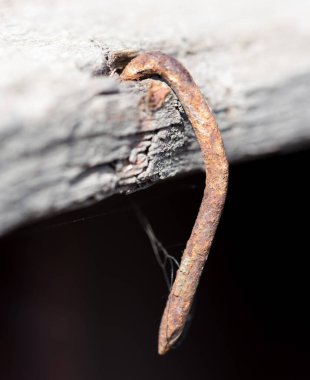 Paslı çivi. Makro. Soyut bir dokunun fotoğrafı