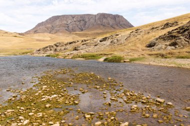 Doğada nehirdeki taşlar. Doğadaki parkta.