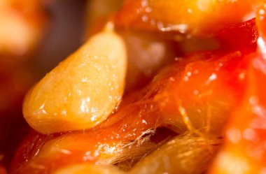 Arka plan olarak gül çekirdeği tohumları. Makro. Fotoğraflar stüdyoda.