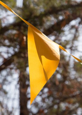 Sonbaharda renkli bayraklar. Doğadaki parkta.