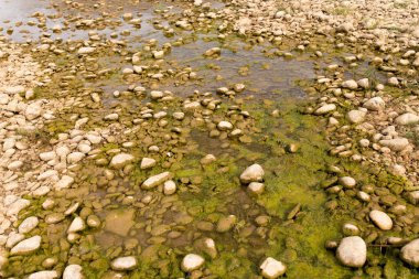 Doğada nehirdeki taşlar. Doğadaki parkta.