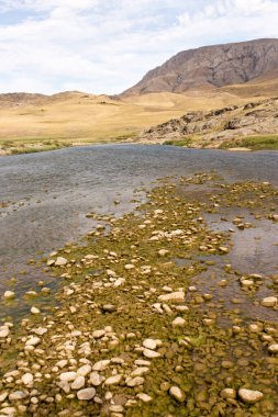 Doğada nehirdeki taşlar. Doğadaki parkta.
