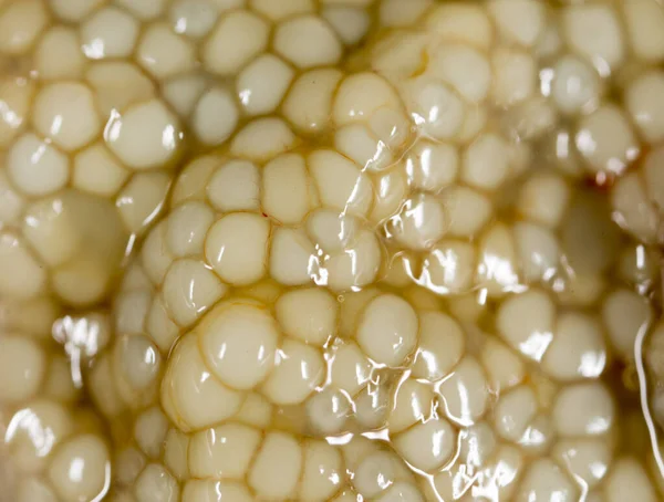 新鮮な魚の卵を背景に マクロ — ストック写真