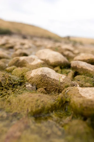 Doğada nehirdeki taşlar. Doğadaki parkta.