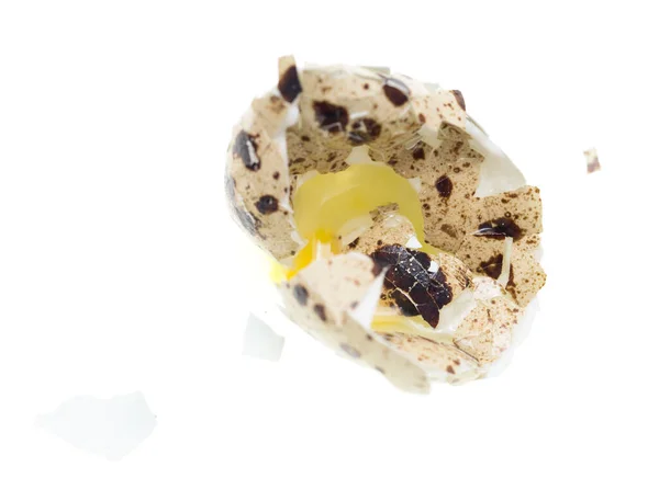 白い背景に卵をウズラ スタジオの写真 — ストック写真