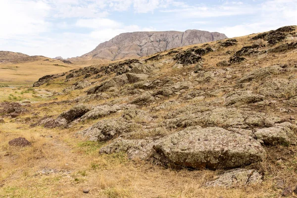 Pierres Rupestres Dans Les Montagnes Dans Parc Dans Nature — Photo