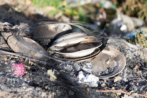 Burnt Dish Nature Garbage Park Nature — Stock Photo, Image