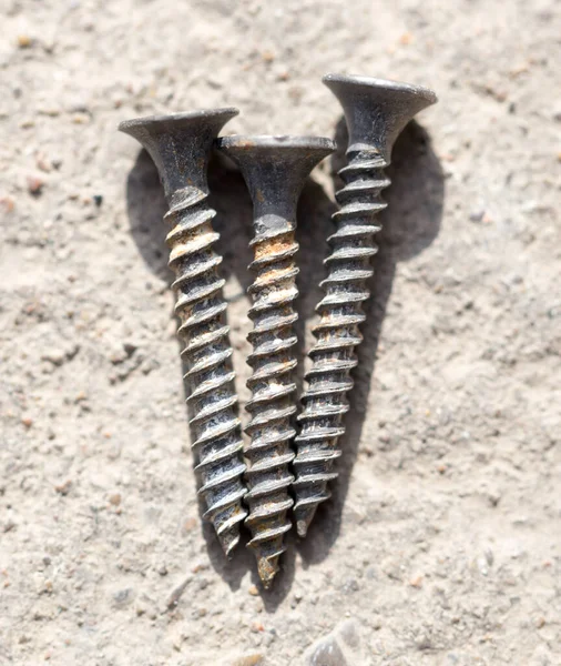 Tornillo Suelo Macro Parque Naturaleza — Foto de Stock