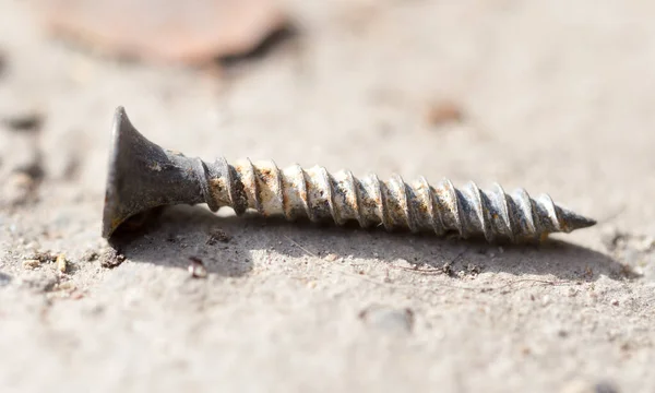 Avvitare Terra Macro Nel Parco Nella Natura — Foto Stock