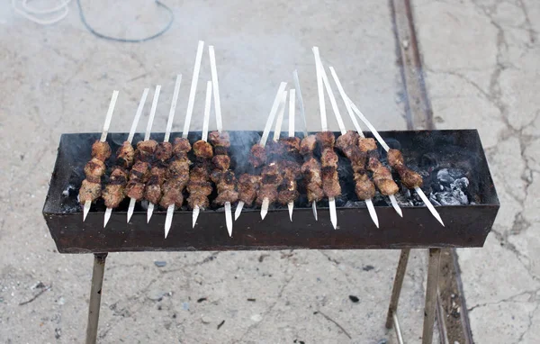 Shish Kebab Sur Les Charbons Dans Parc Dans Nature — Photo