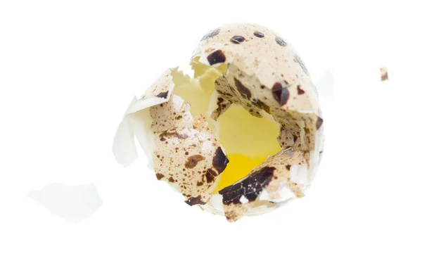 白い背景に卵をウズラ スタジオの写真 — ストック写真