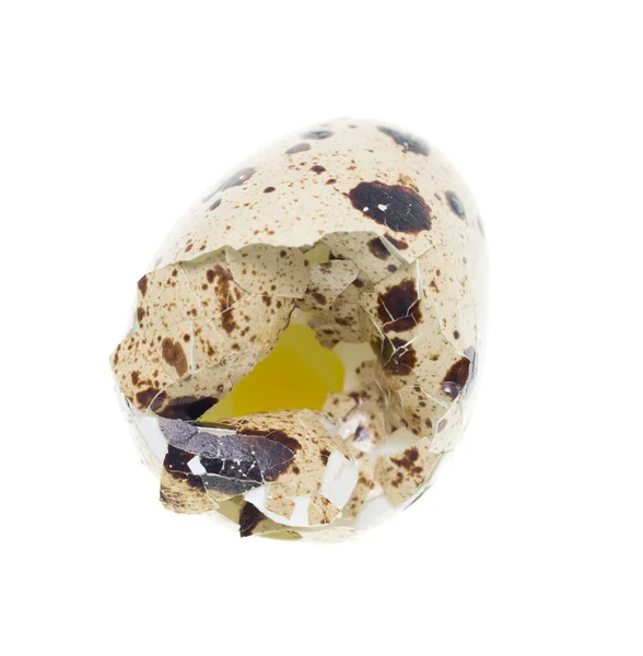 Перепелиное Яйцо Белом Фоне Фотографии Студии — стоковое фото