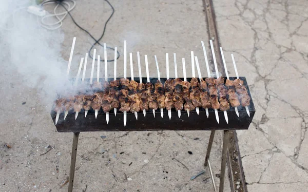 Shish Kebab Sur Les Charbons Dans Parc Dans Nature — Photo