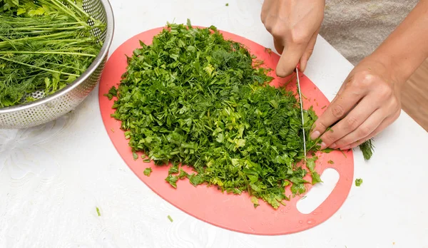 Peterselie Dille Keuken Foto Studio — Stockfoto