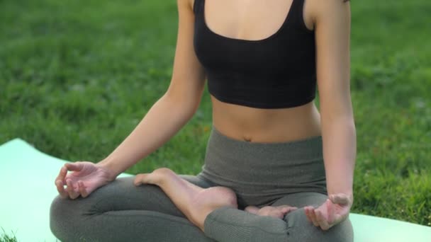 Femme pratiquant le yoga en plein air dans le parc — Video