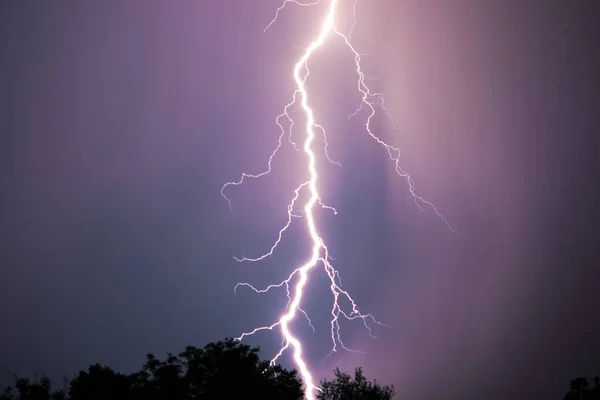 Dramatisk Bult Förgrenade Lightning Silhuetter Förgrunden Träd — Stockfoto